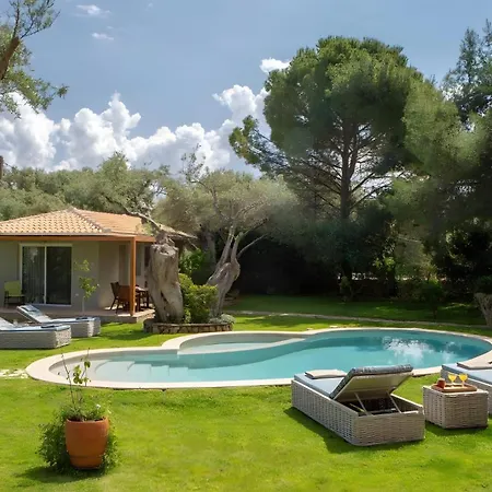 Polys Lefkada 1 * Apolpaina